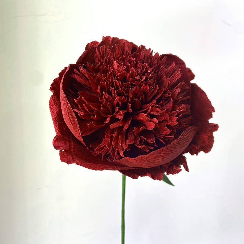 Papercraft Miracles LLC - Vente Fleurs artificielles - Fleur de pivoine charme en papier crépon (petite)2