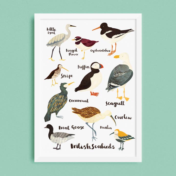 British Seabirds for wholesale by Lauren Radley