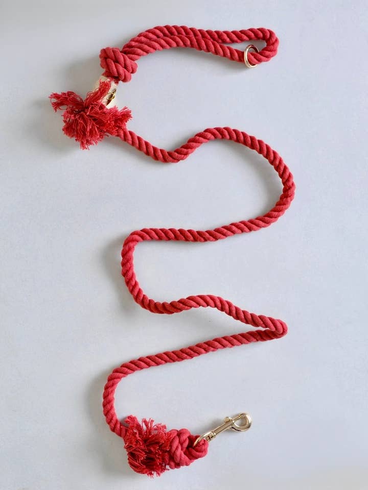 Laisse pour chien - Rouge pour la vente par Les Wafou