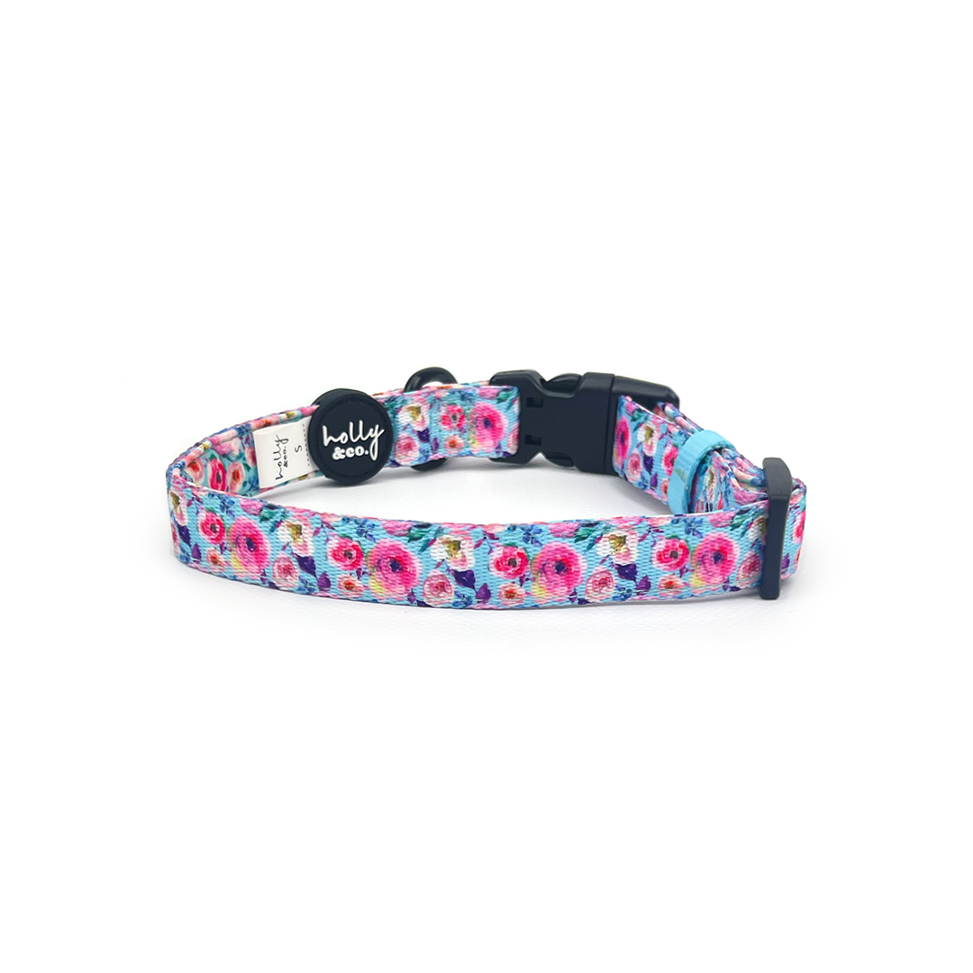 Holly dog outlet collar