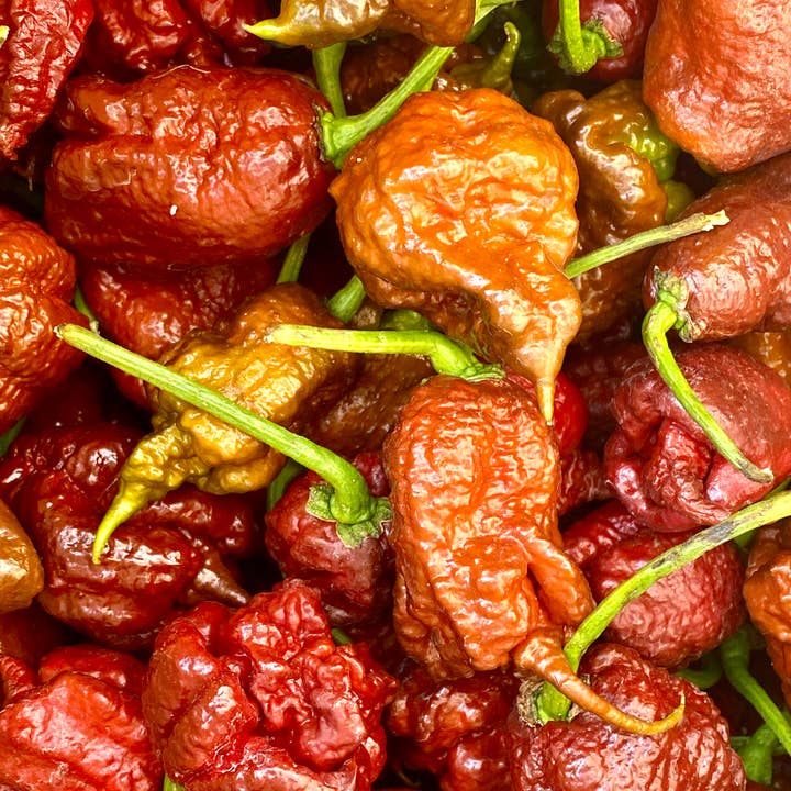 Weymouth 51 Hot Sauces ā wholesale Hot sauce ā Luxury Christmas Pudding hot chilli sauce 220ml2