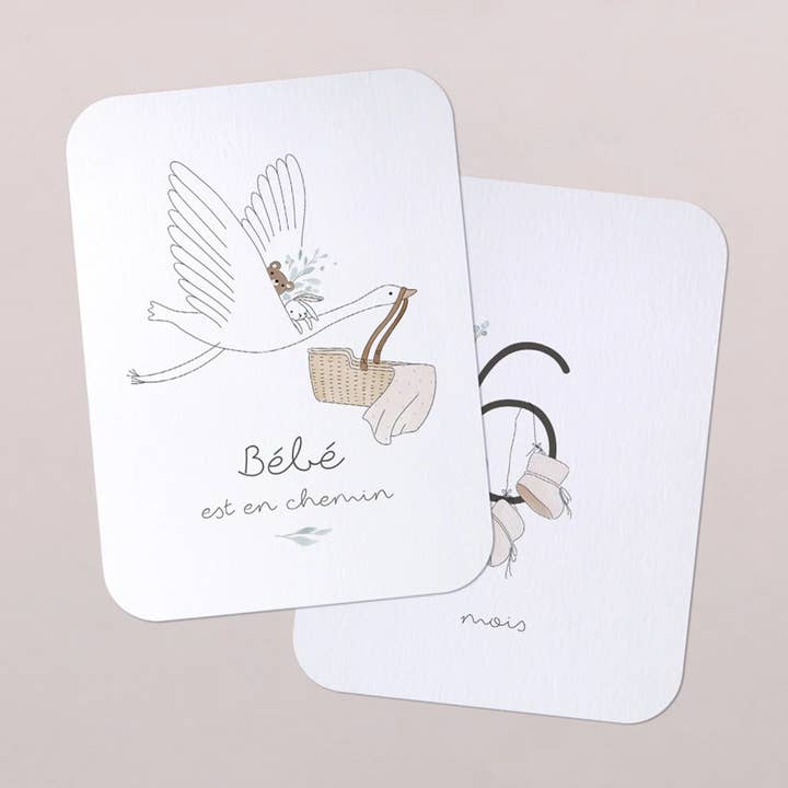 Babybump Step Cards - Little Béguin for wholesale by Cotton Bird