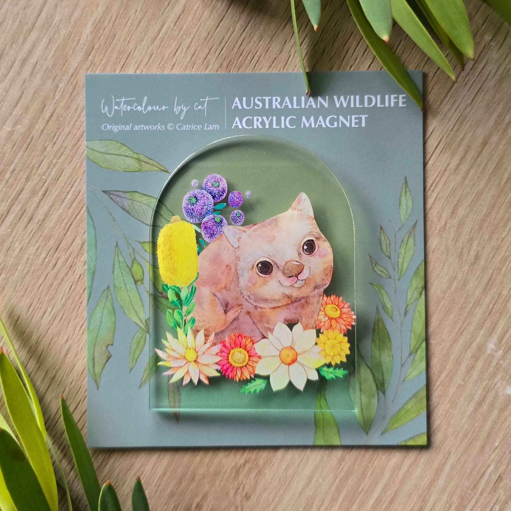 Watercolour By Cat - Wholesale Magnet - Australian Animals Womat Magnet0