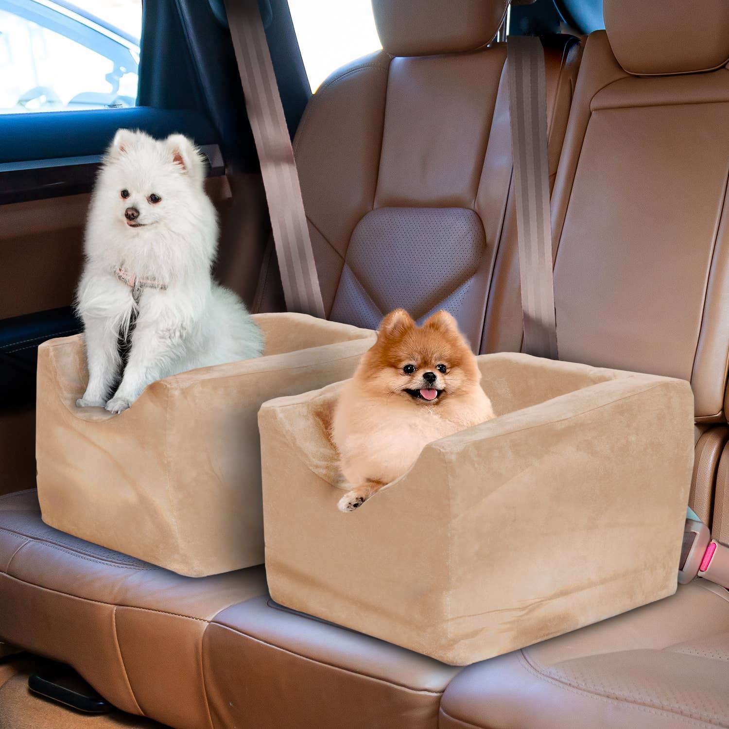 Precious Tails - Wholesale Pet Carrier - Cat/Dog - Precious Tails High Density Foam Pet Booster Seat33