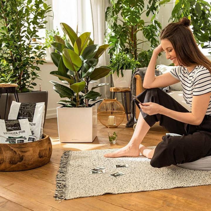 Lechuza Self Watering Planters - Wholesale Planting/Potting Soil - LECHUZA PON Plant Potting Soil for Indoor PLANTS5