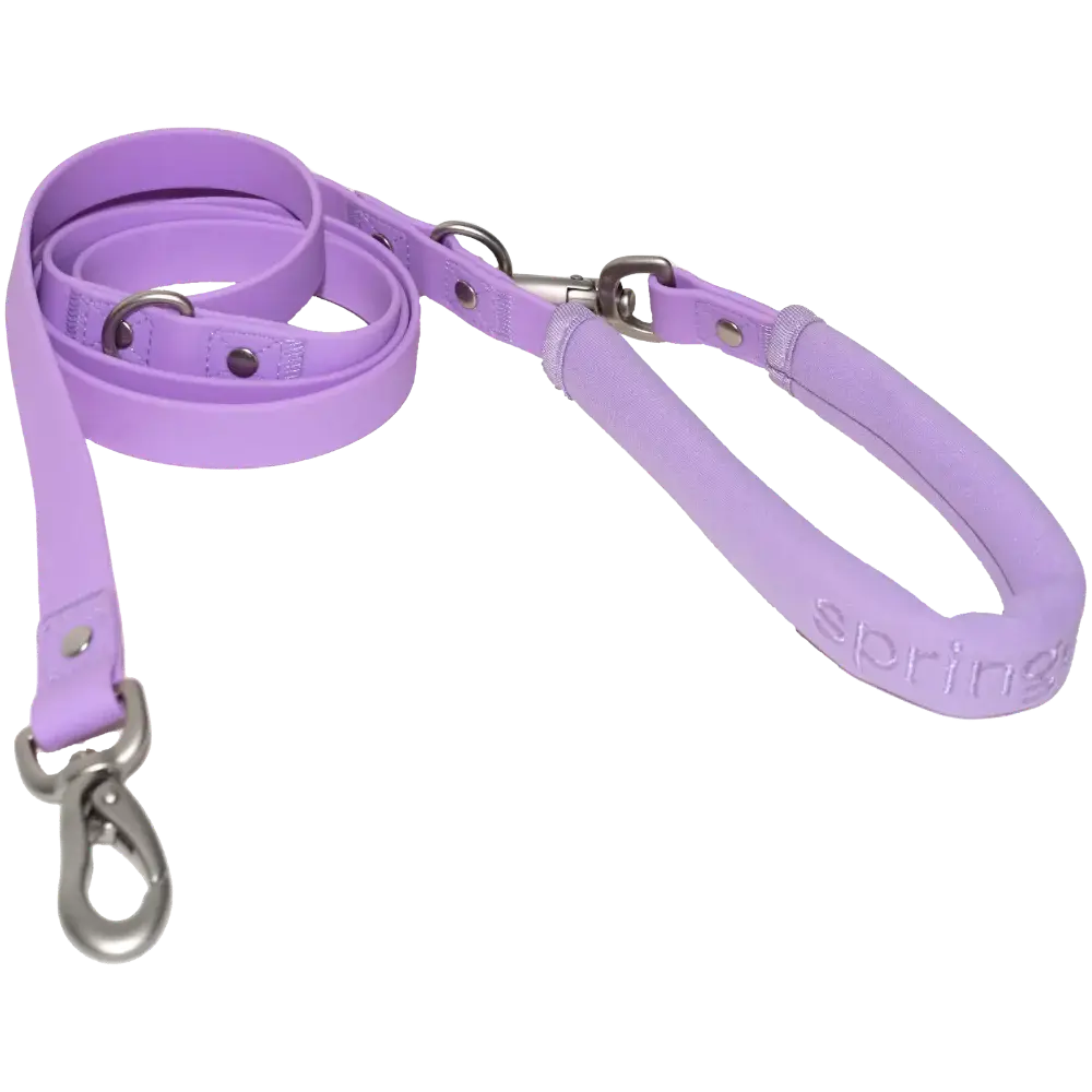 Springland Pets – Großhandel Leine – Hund – Hundeleine – wasserdicht, verstellbar, gepolstert (3er-Mix)5