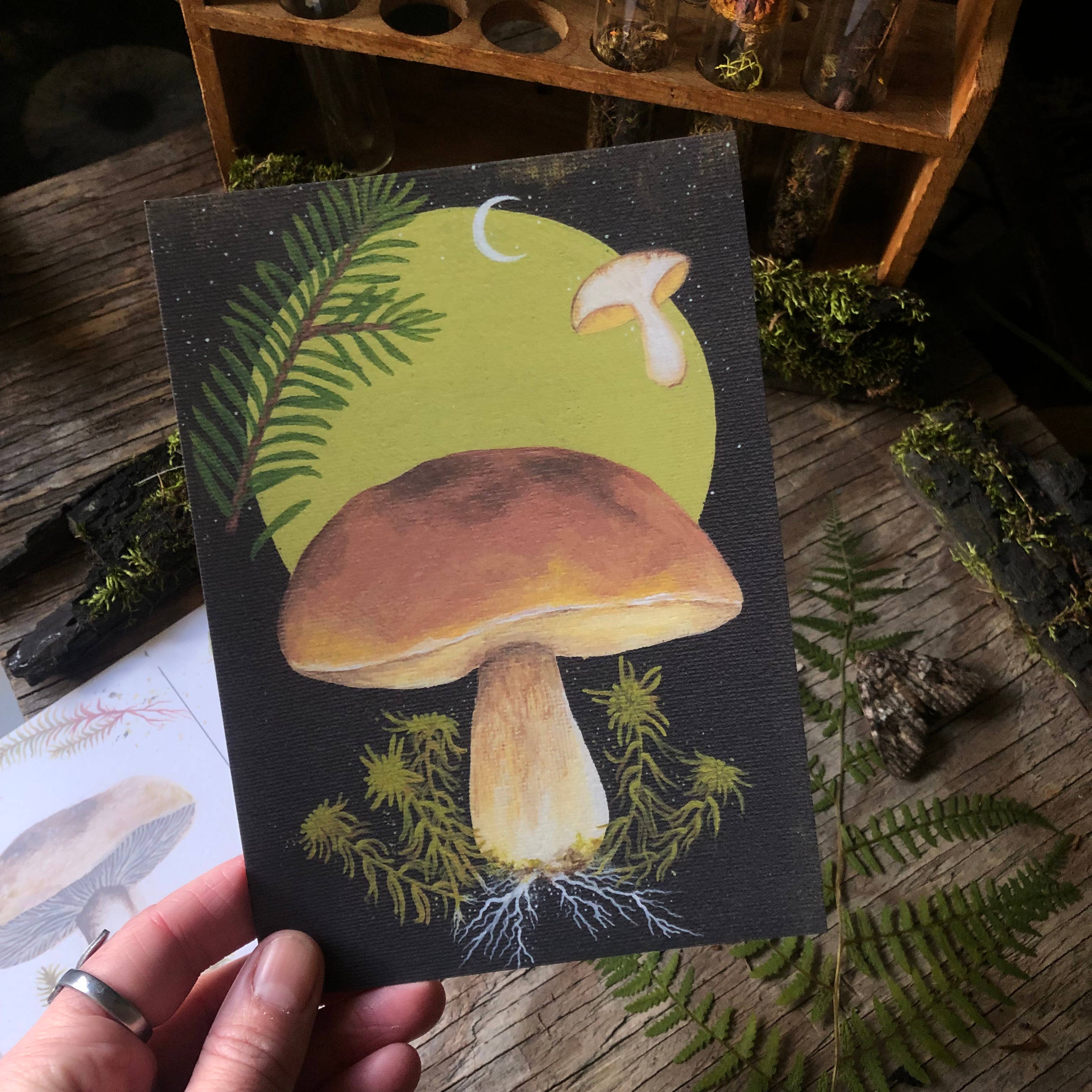 Up Moss Creek Studio - Wholesale Postcard Set - Mushroom Postcard Set (3)1