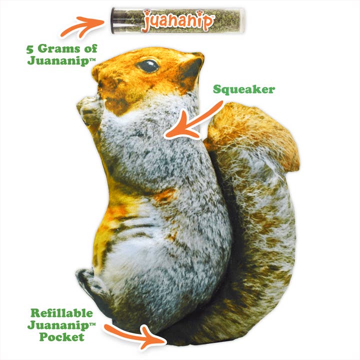 Doggijuana - Wholesale Pet Toy - Dog - Get Outside Squirrel Refillable Dog Toy1