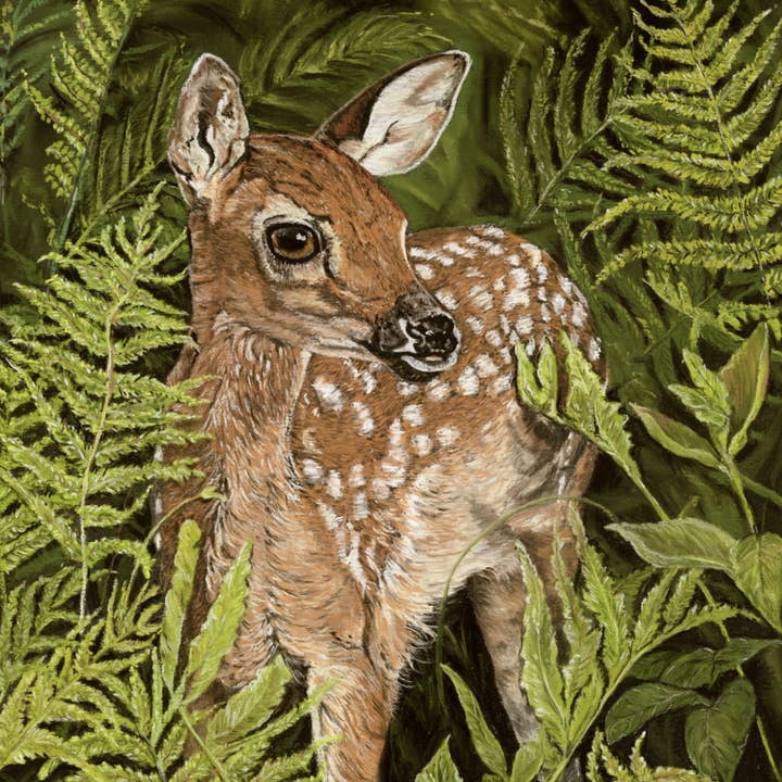 Tryck av originalpastell 'Flora och Rådjurskid' för wholesale av Michelle Hewitt Wildlife Artist