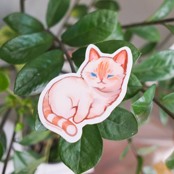 Thousand Skies - Wholesale Sticker - Vinyl Sticker Flame Point Siamese Cat