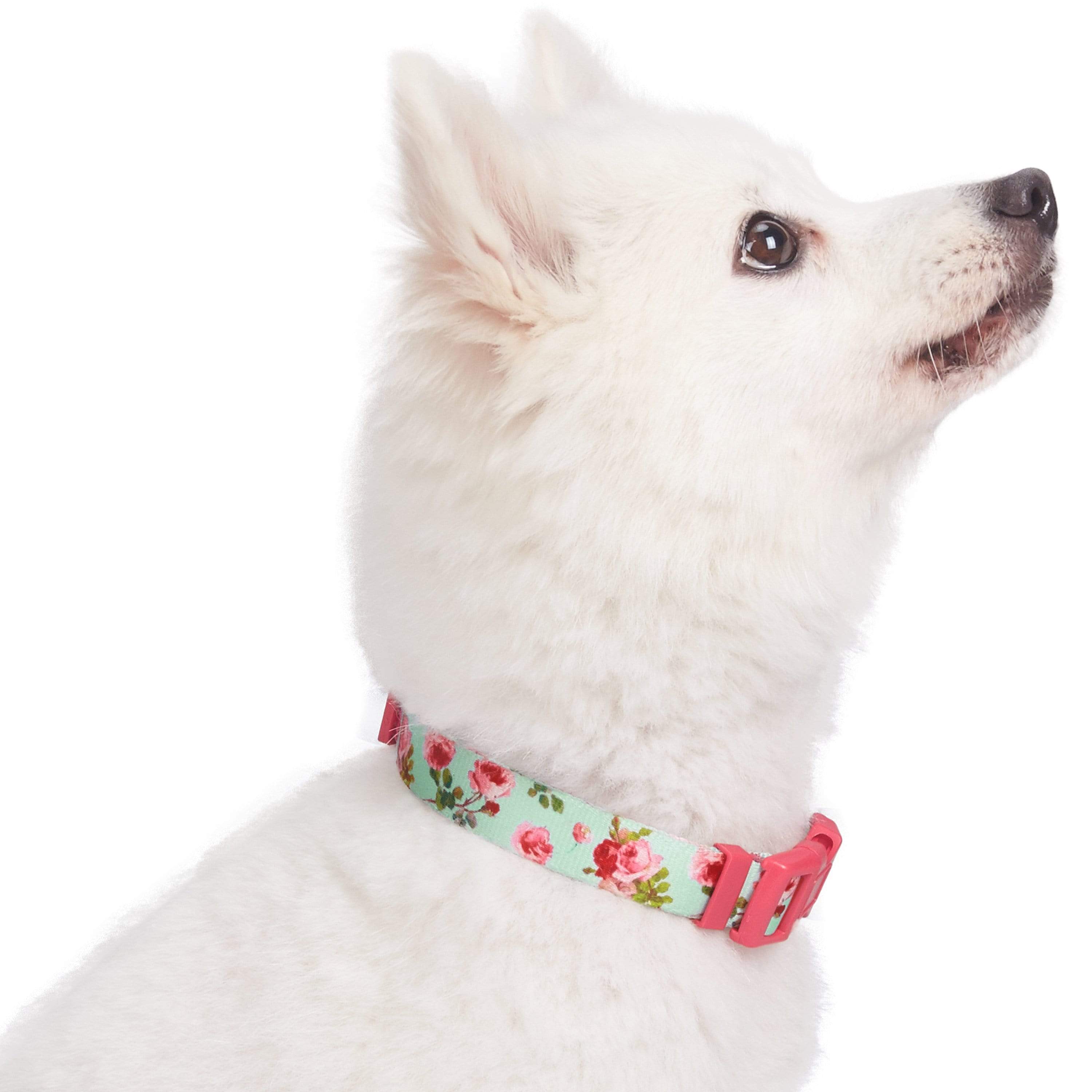 Blueberry Pet - Wholesale Halsband - Hond - Lichtgewicht verstelbare hondenhalsband met lente bloemenpatroon7