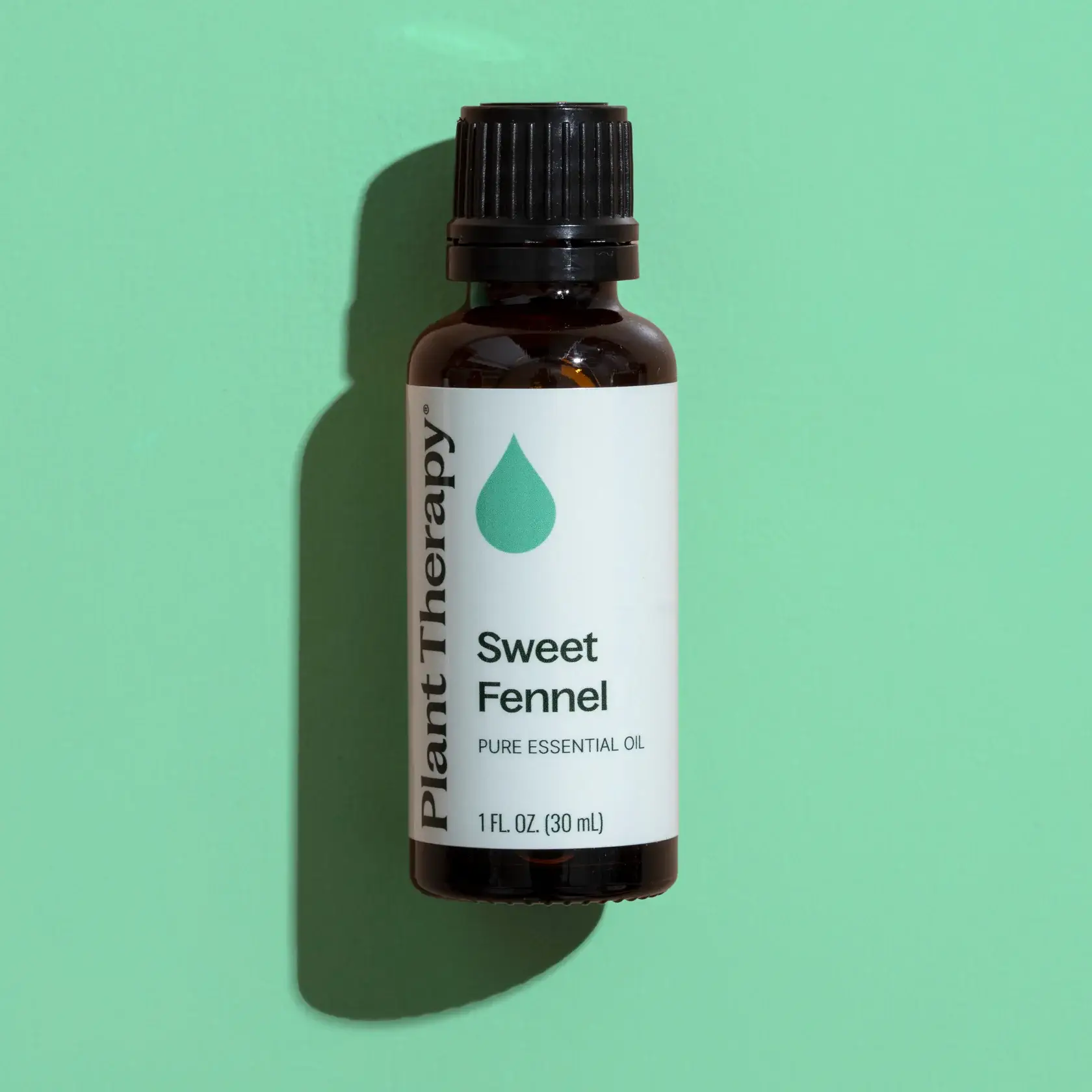 Plant Therapy - Wholesale Essential Oil - Sweet Fennel Essential Oil 10 mL5