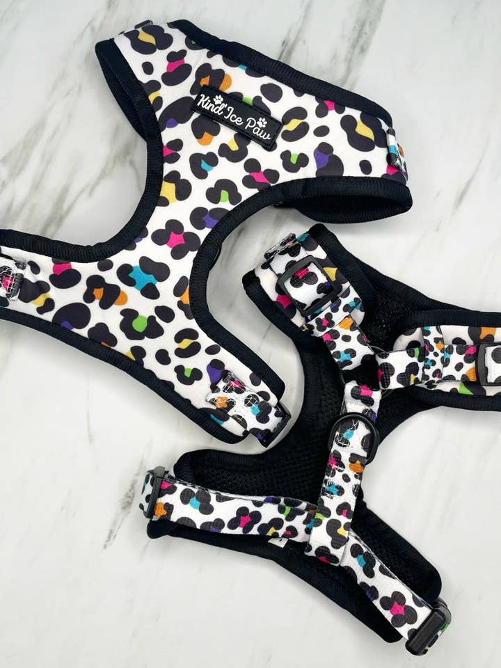 Harnais pour chien anti-traction – Wild Pup | Ajustement respirant et réglable pour la vente par Kind’Ice Paw