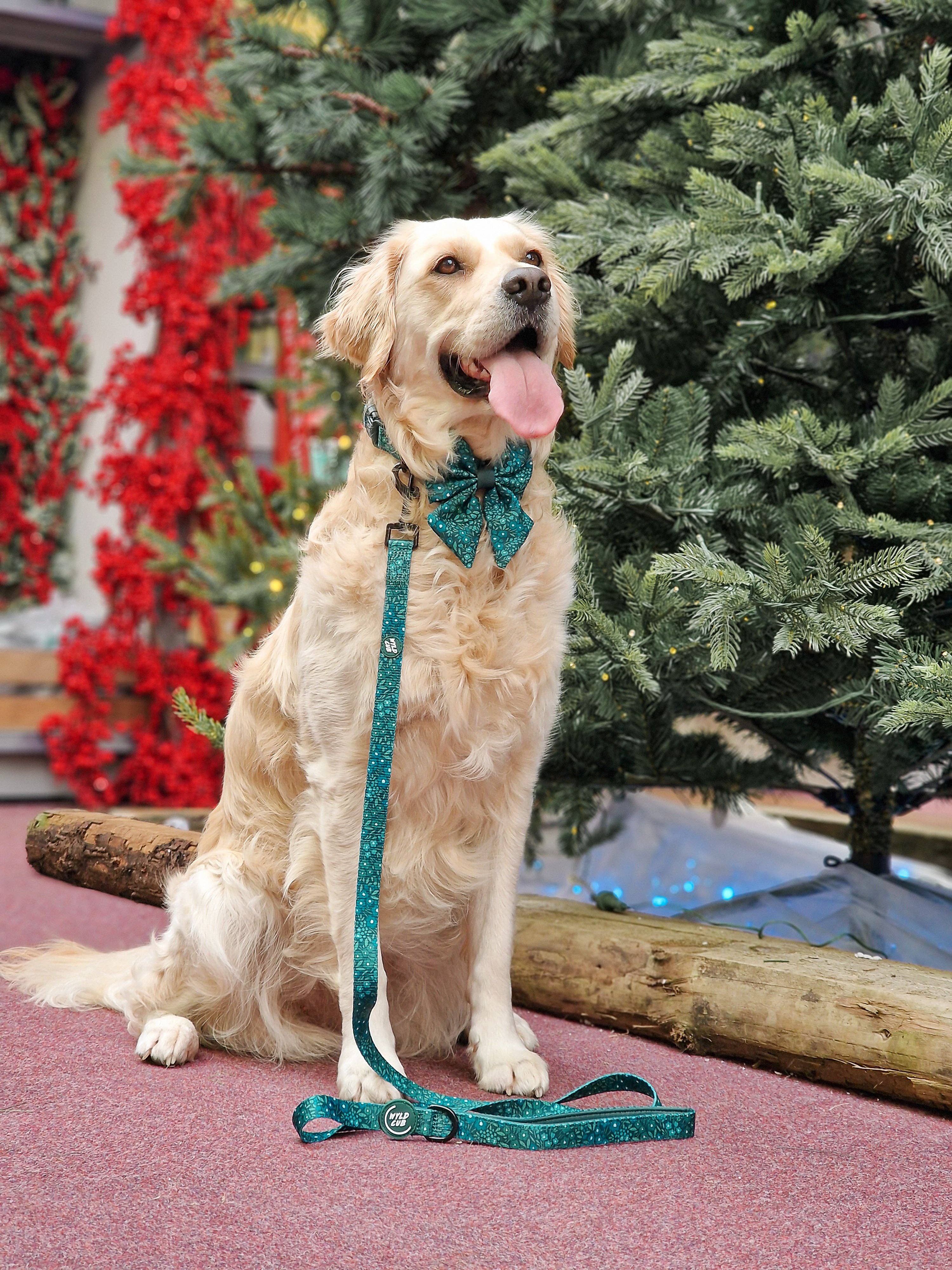 WYLD CUB – wholesale Pet leash – Dog – Dog Lead: Notting Hill Gooseberry8