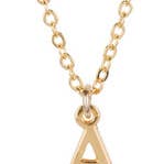 Shawn Paul - Wholesale Pendant/Charm Necklace - Delta Gamma Lavaliere Necklace0