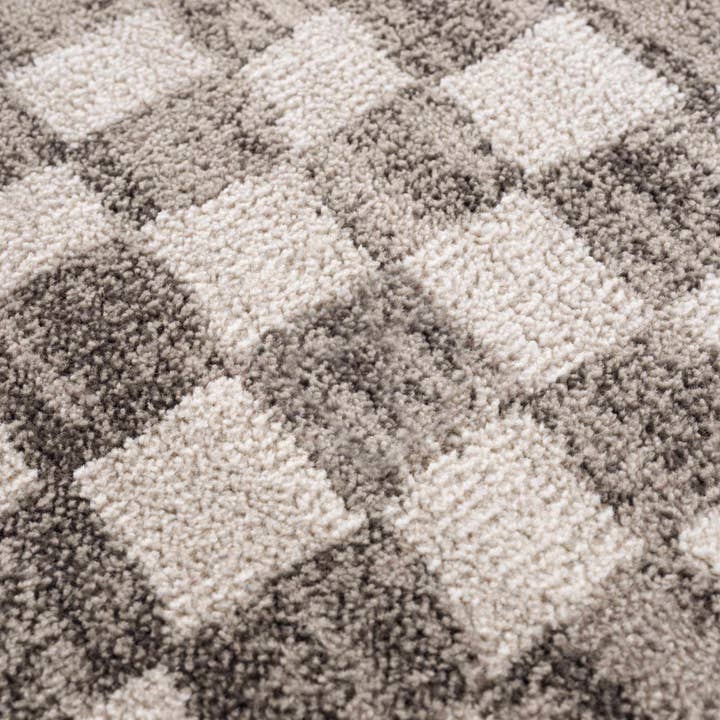 Hauteloom - Wholesale Area Rug - Benjy Beige Checkered Area Rug11