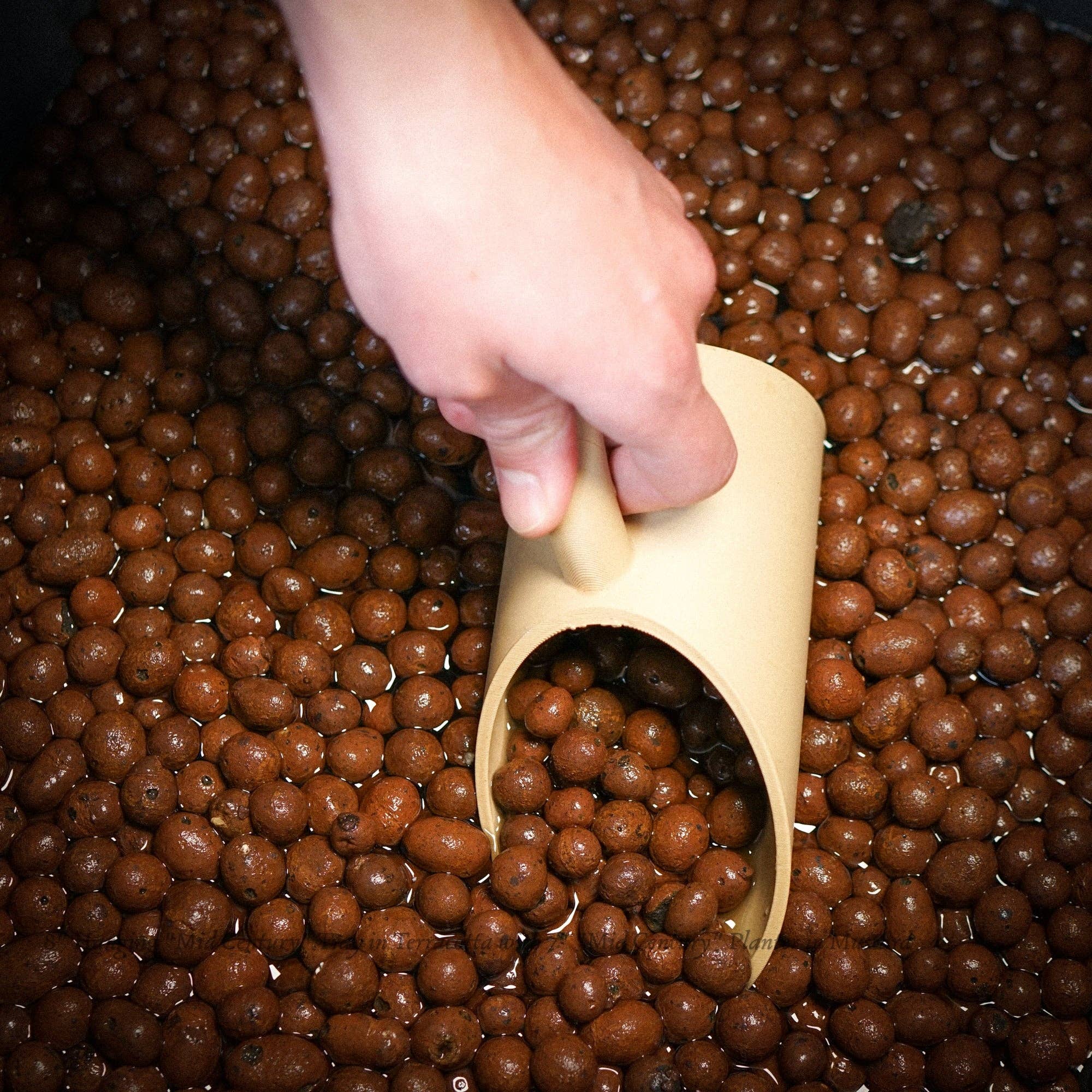 Rosebud Homegoods – wholesale Garden tool – Plant Soil Scoop3