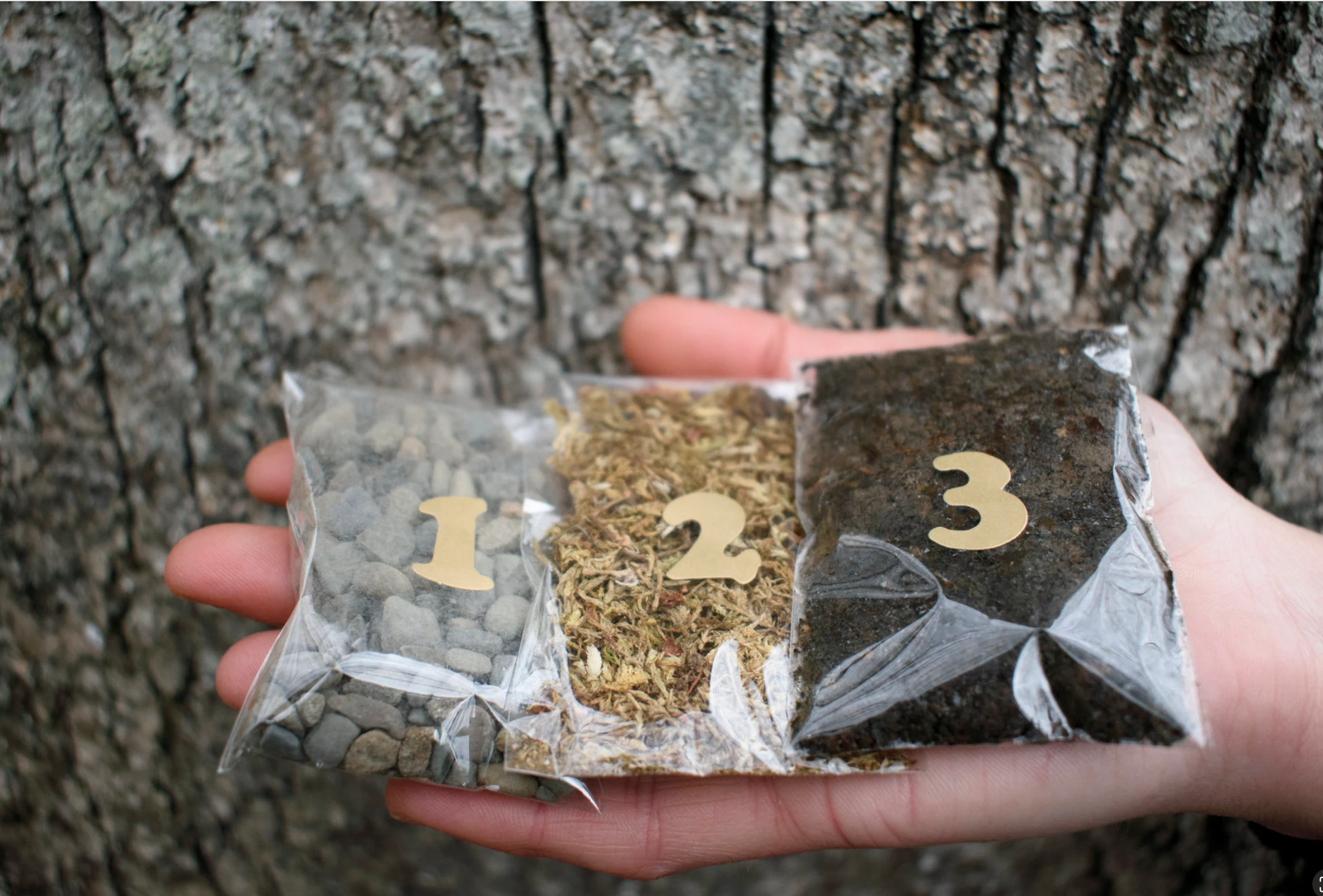 Moss & Stone Gardens - Vente Terrariums - Kit de Terrarium en Verre DIY – Écosystème de Mousse Vivante2