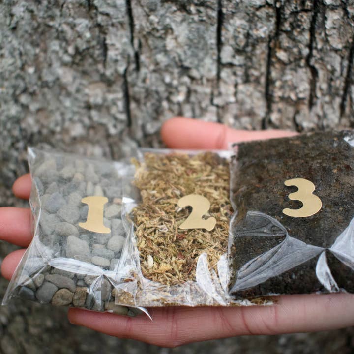 Moss & Stone Gardens - Wholesale Terrarium - DIY Glass Terrarium Kit – Live Moss Ecosystem2