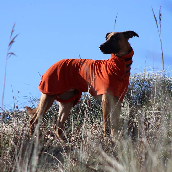 Jaegr l DOGWEAR – wholesale Pet towel –Dog – Jaegr Drying Towel3