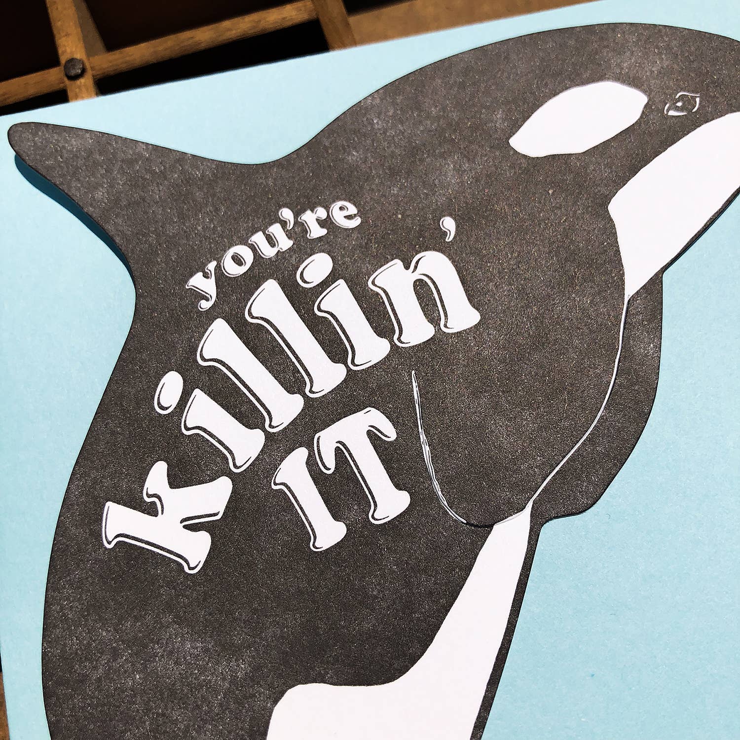 Blackbird Letterpress - Wholesale Everyday Greeting Card - killin' it killer whale gift card4