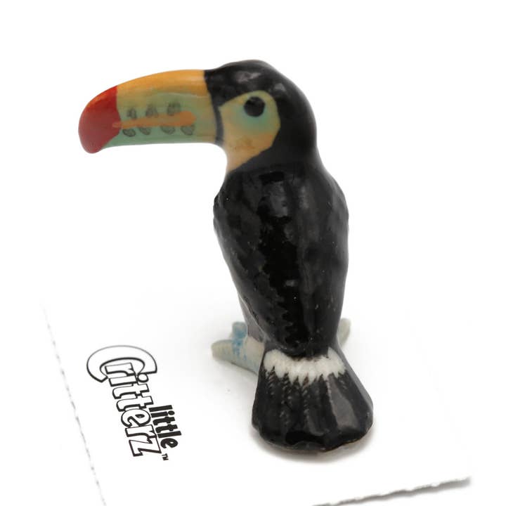 Belize Toucan Decorative Figurine in Porcelain Miniature for wholesale by Little Critterz