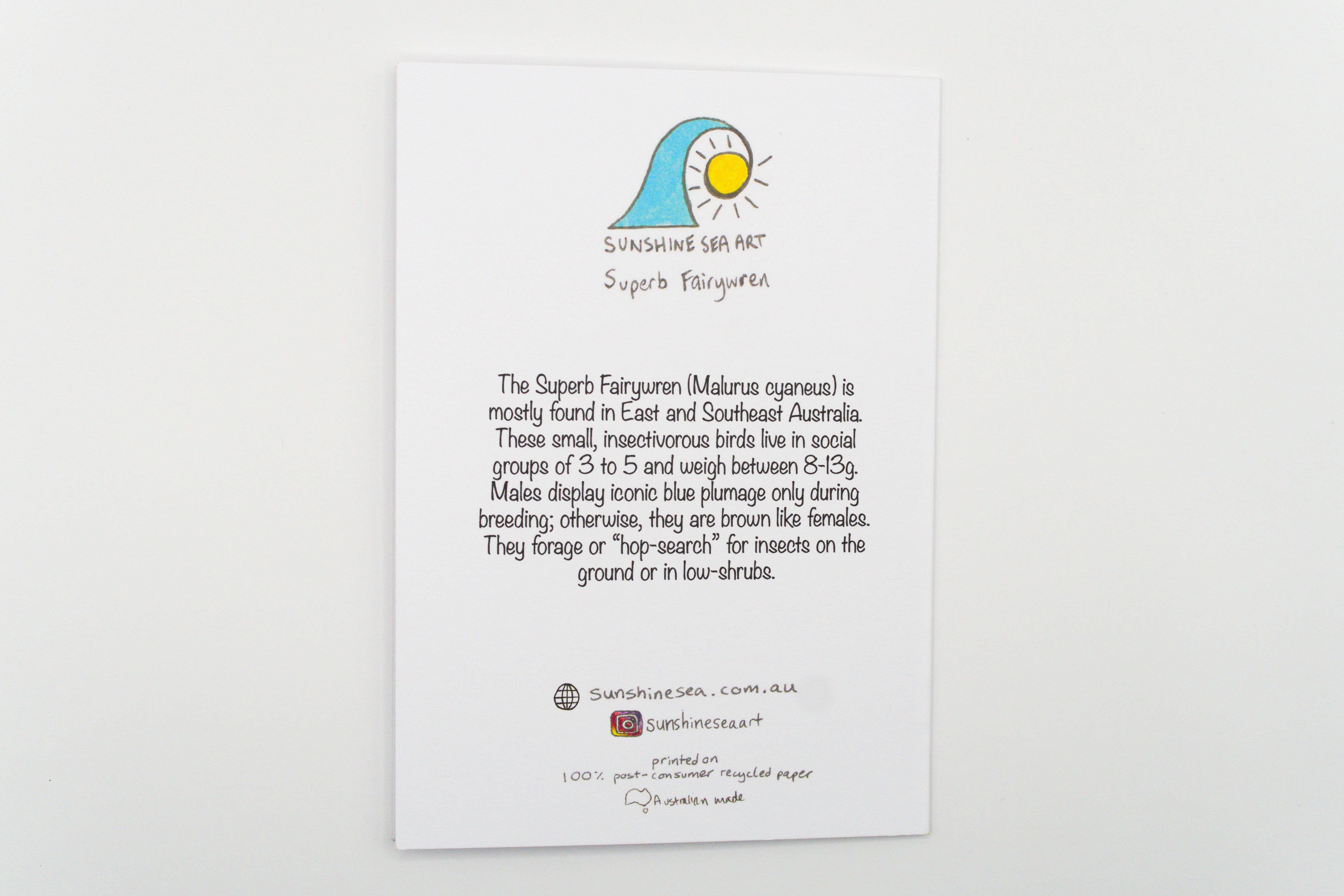 Sunshine Sea Art - Wholesale Birthday card - Superb Fairywren Greeting Card Australian Bird Birthday Card1