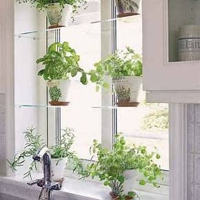 Plasticmart - Wholesale Wall Mounted Shelf - Acrylic Window Shelves 36" long