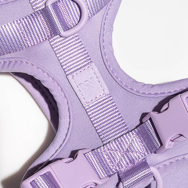 Wild One - Wholesale Pet Harness - Dog - Harness29