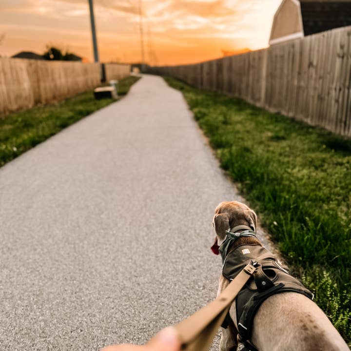 Ruff N' Fluff - Wholesale Pet Leash - Dog - 6 Ft. Adventure Proof Leashes4