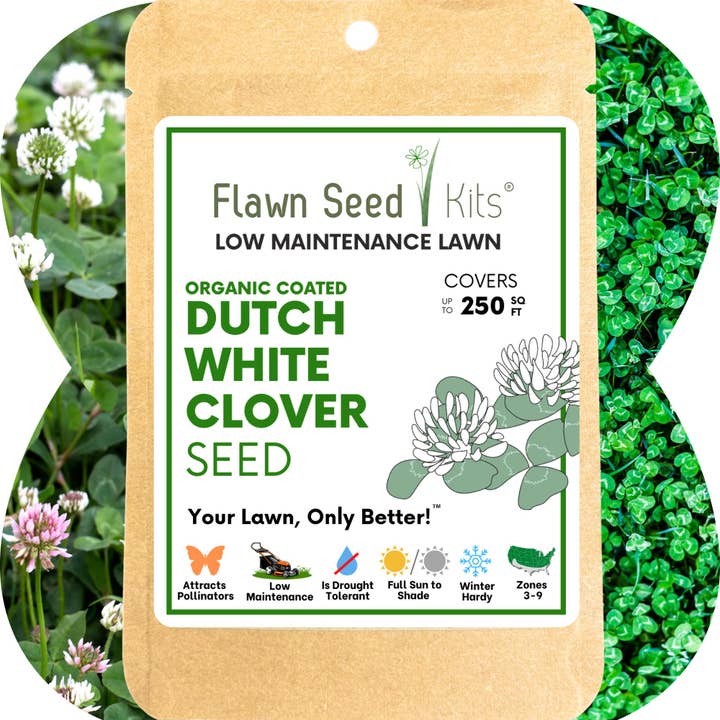 Dutch White Clover Seed for wholesale by Flawn Seed Kits