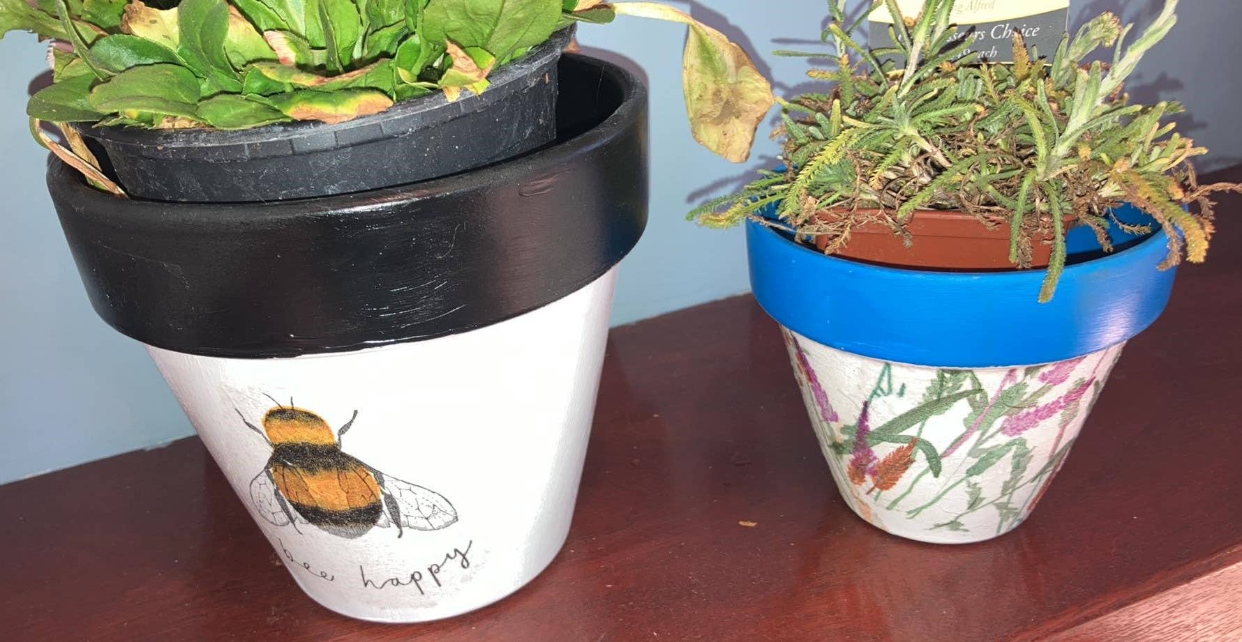 KCK Gifts - Vente Pot - Pot de fleurs découpé6