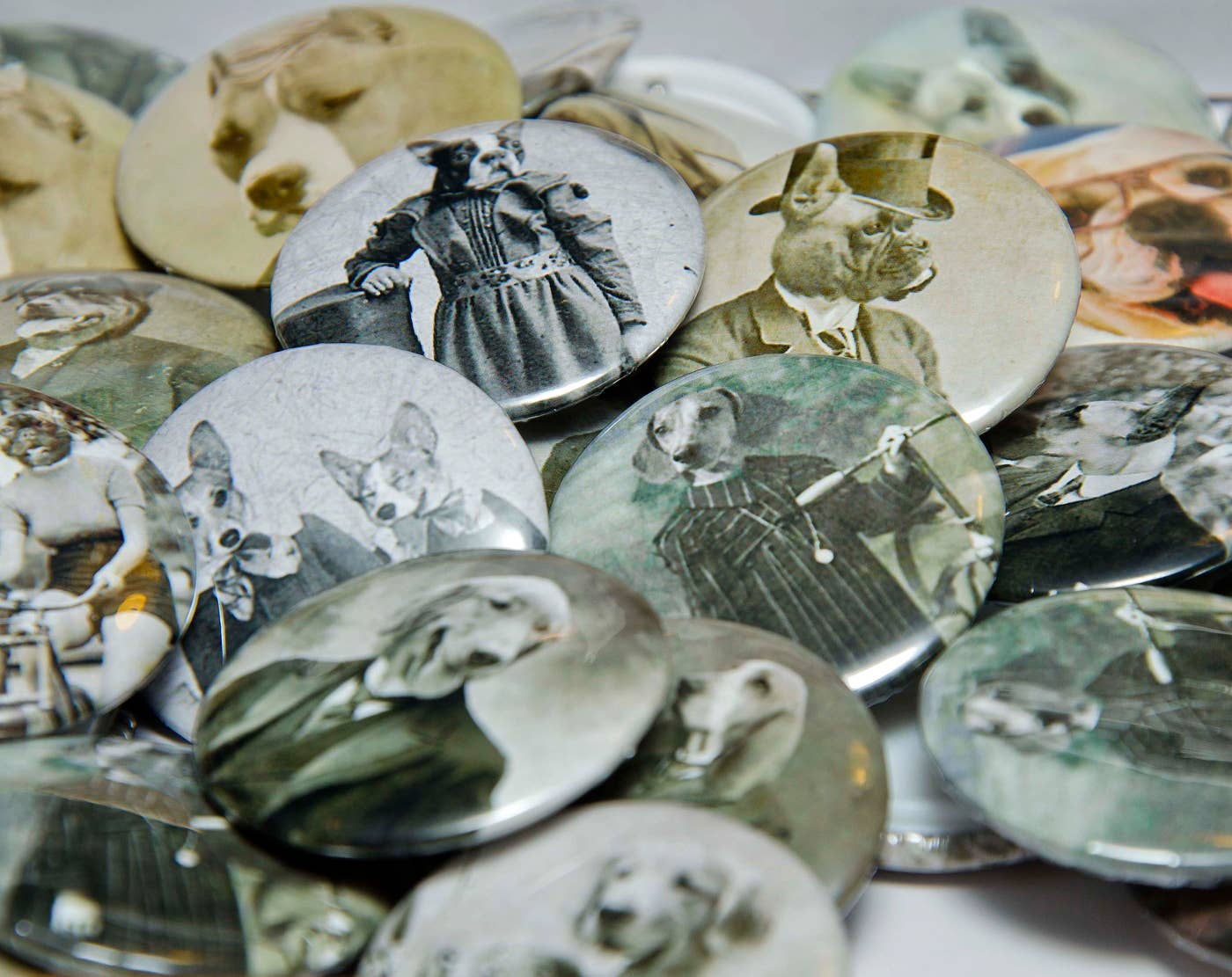 The Wild Oddisorium - Wholesale Lapel Pin/Button - Dog Buttons, Pins, Badges, POS, Funny Dogs in Clothes, Cute48