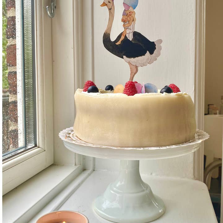 Tall Hat Tales - Wholesale Party/Paper Folding Fan - Struds