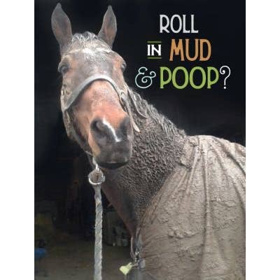 Horse Hollow Press - Wholesale Birthday Card - Horse Greeting Birthday Card / Roll in Mud & Poop / Funny 5