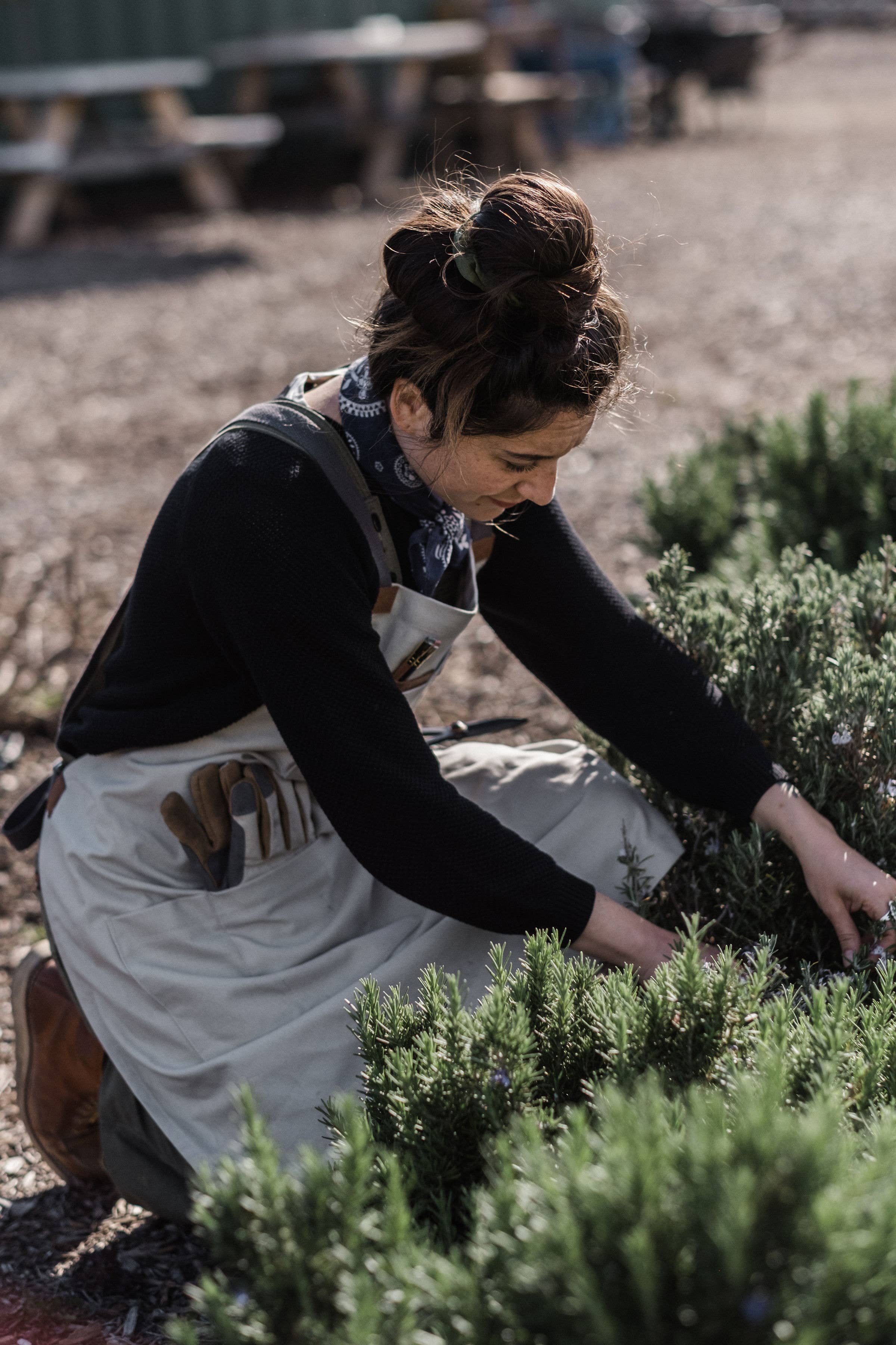 Barebones - Wholesale Apron - Chef Grilling Apron11