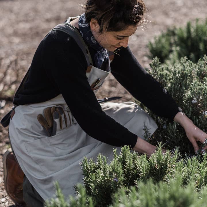 Barebones - Wholesale Apron - Chef Grilling Apron11