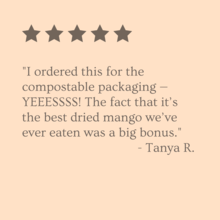 Sun & Swell Foods - Wholesale Dried/Dehydrated Fruit - Organic Dried Mangos (8oz - Compostable Packaging)2