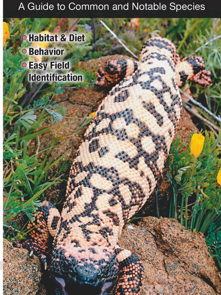 Reptilien und Amphibien der Mojave-Wüste für den Großhandel von Quick Reference Publishing, Inc