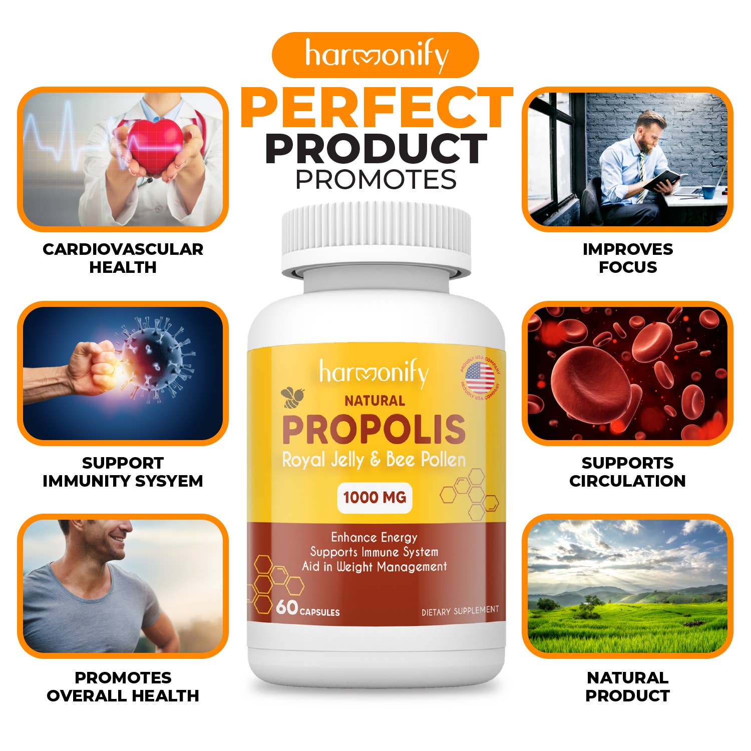 HARMONIFY - Wholesale Oral Supplement/Vitamin - Natural Propolis, Royal Jelly Bee 1000mg for Immune Support8