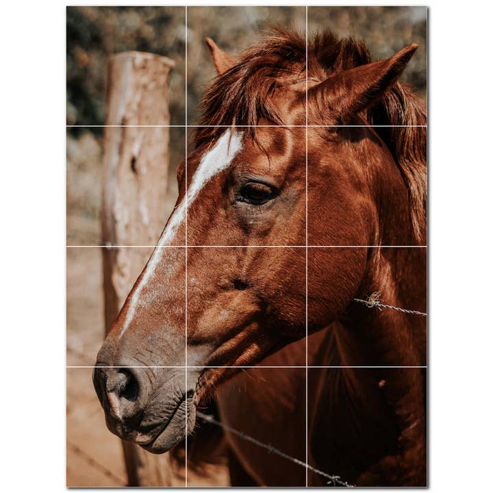 Fresque murale en carreaux de céramique avec cheval pour la vente par Picture-Tiles.com