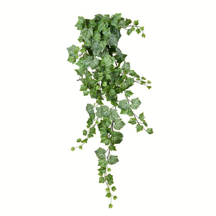 Vickerman 51" Green & White Grape Ivy Hanging Bush for wholesale on Faire