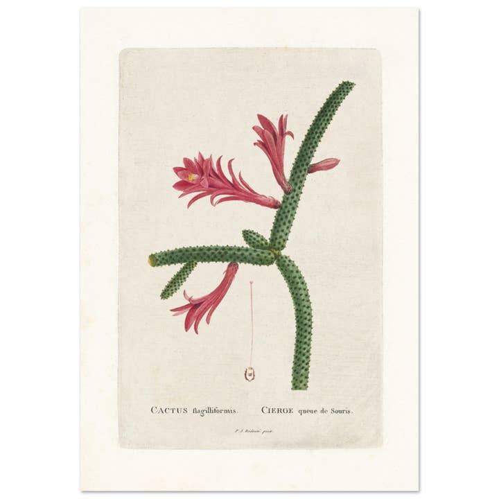 Cierge for engroshandel hos Maison de Paloma