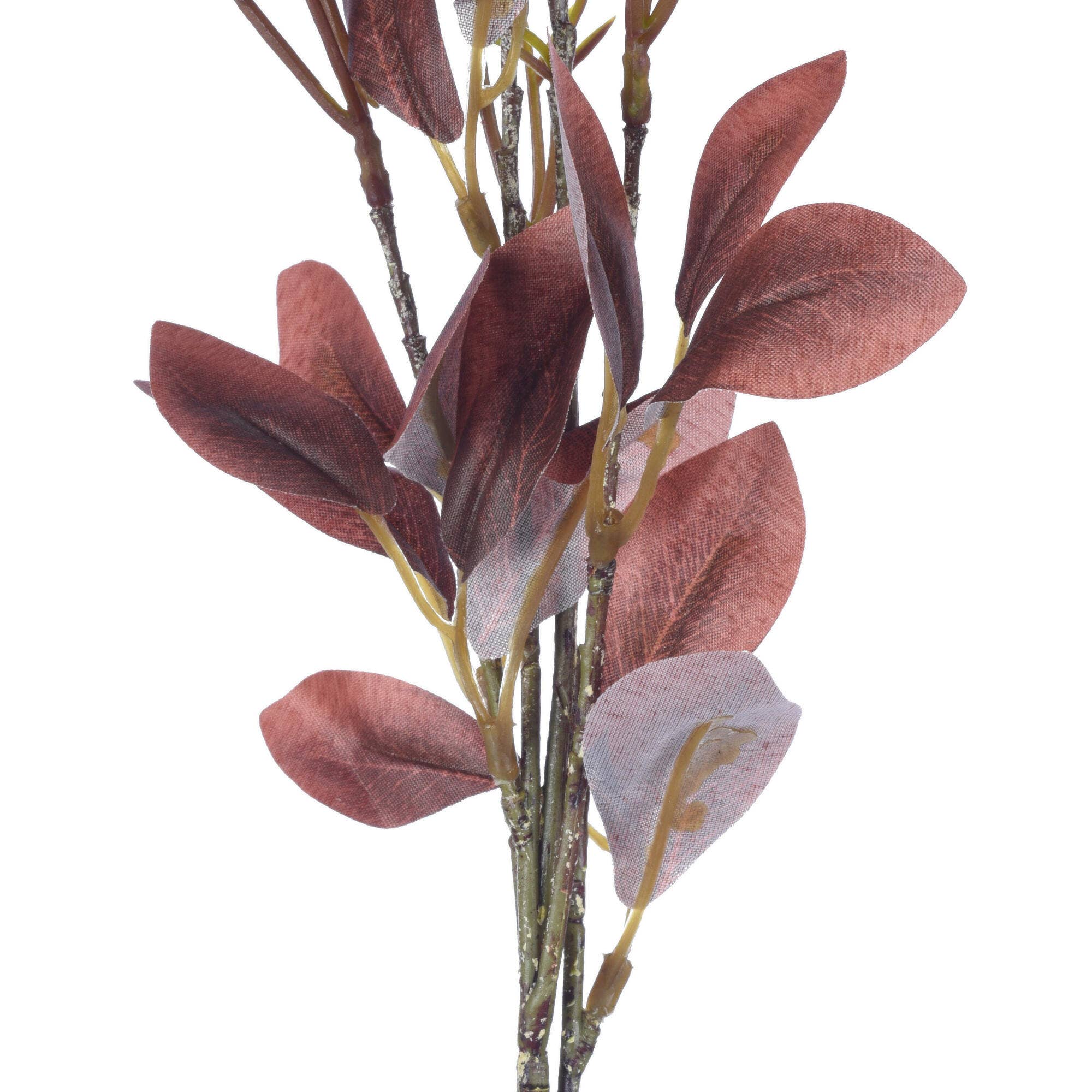 Burgundy Vickerman 25.5" Brgndy Primrose Flower Spray 3/Bag for wholesale on Faire2