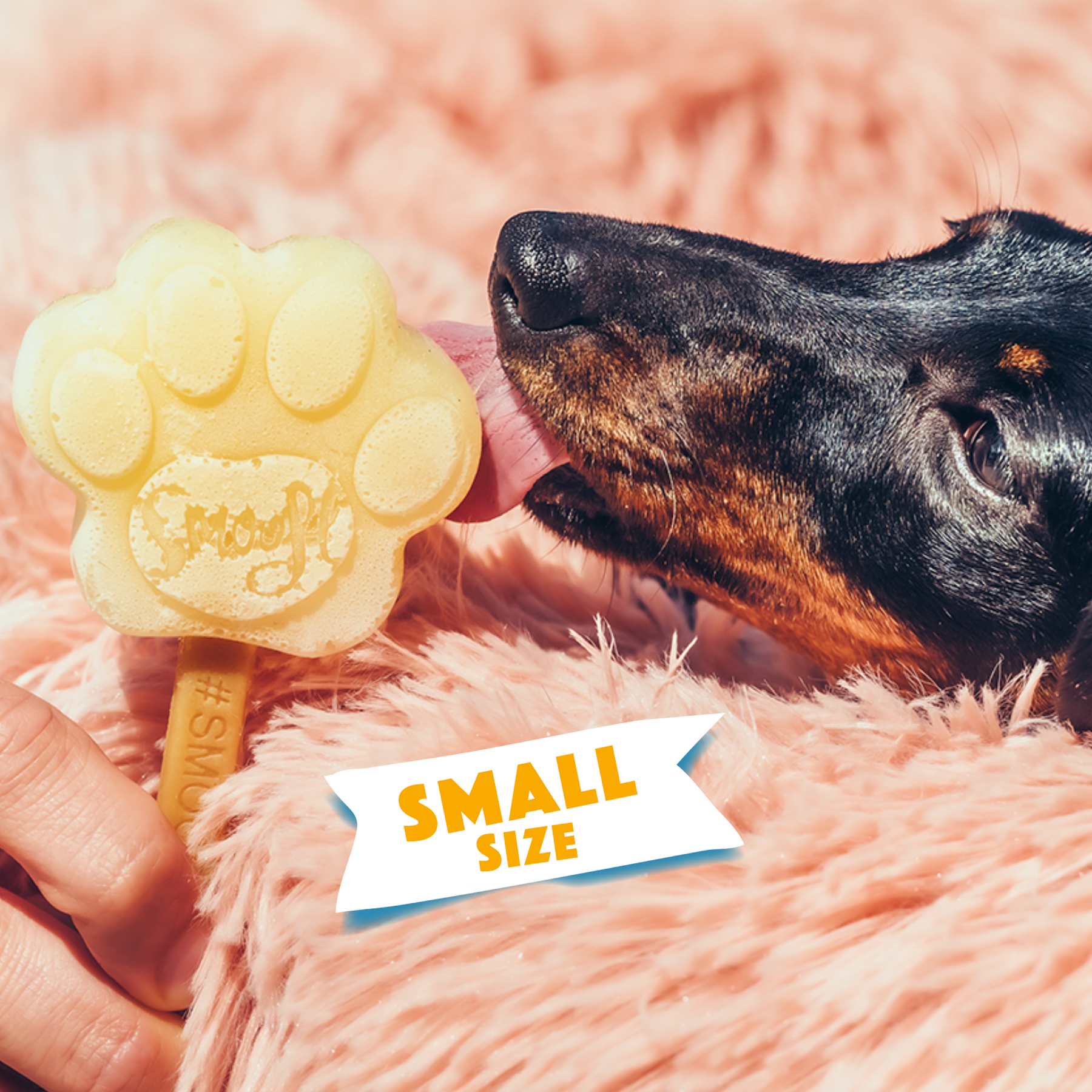 Smoofl - Wholesale Pet Treats - Dog - Small mould in silicone1