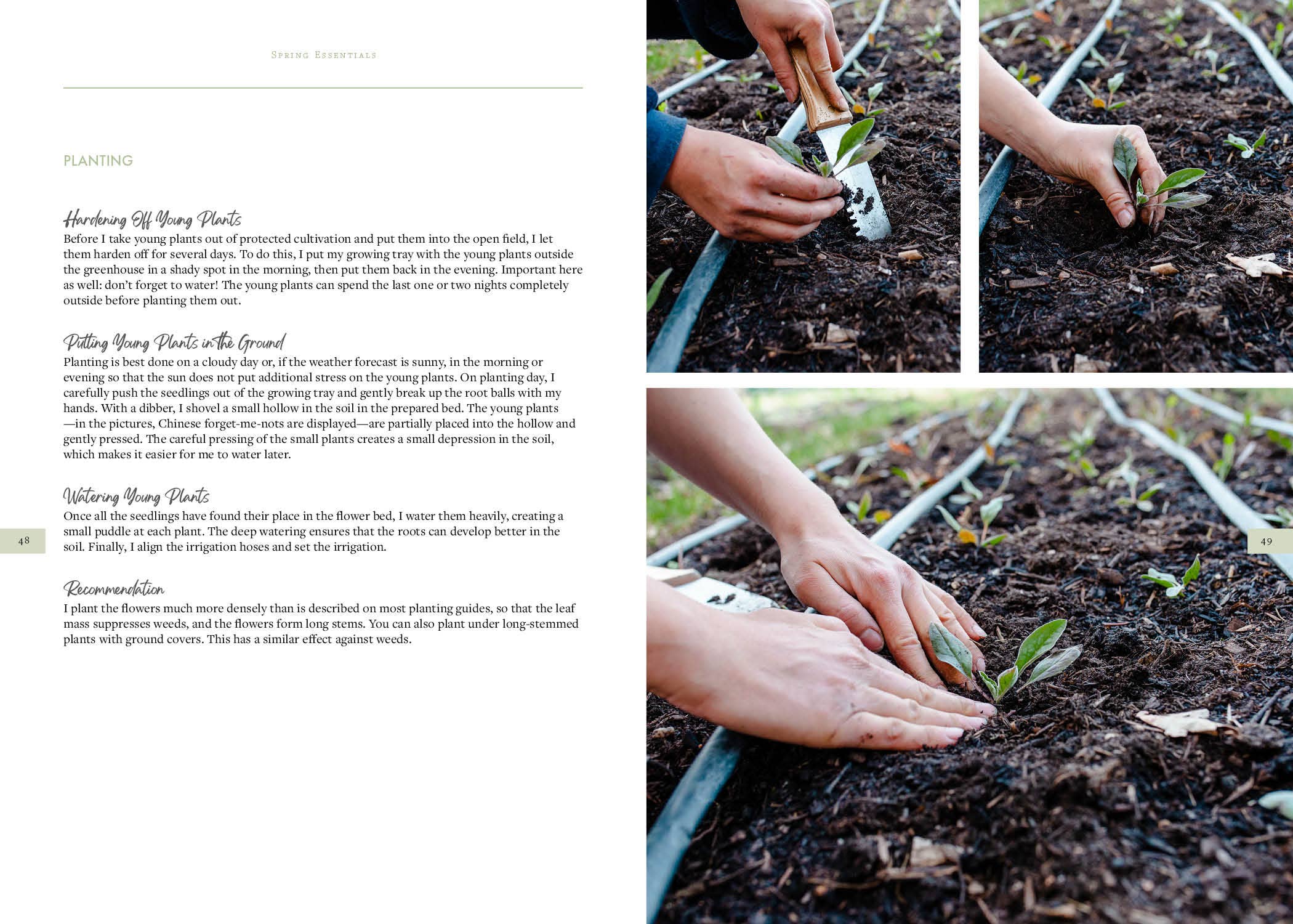 Schiffer Publishing – Großhandel Haus & Garten – Säen, Wachsen und Ernten3