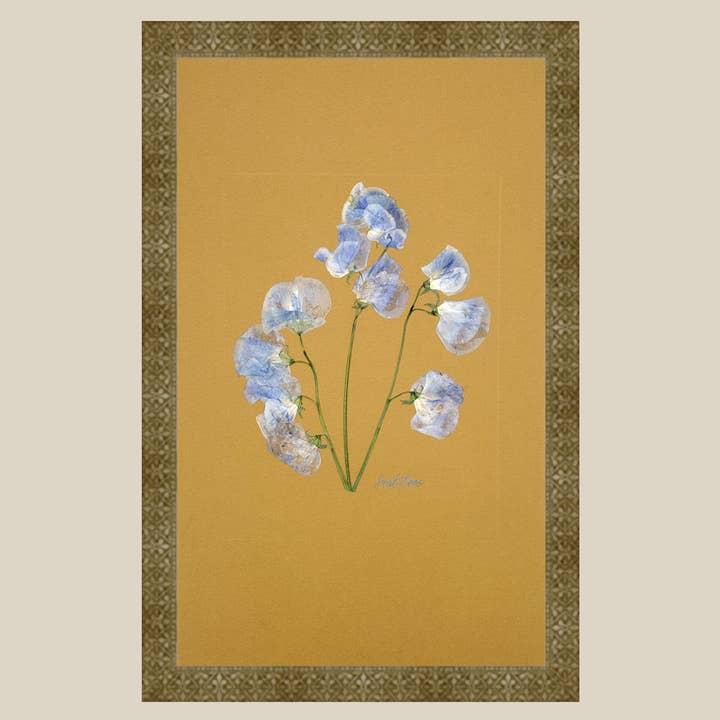 The Fleur De Lis House - Wholesale Sculpture - One-of-a-kind real pressed sweet pea on mustard wall art2