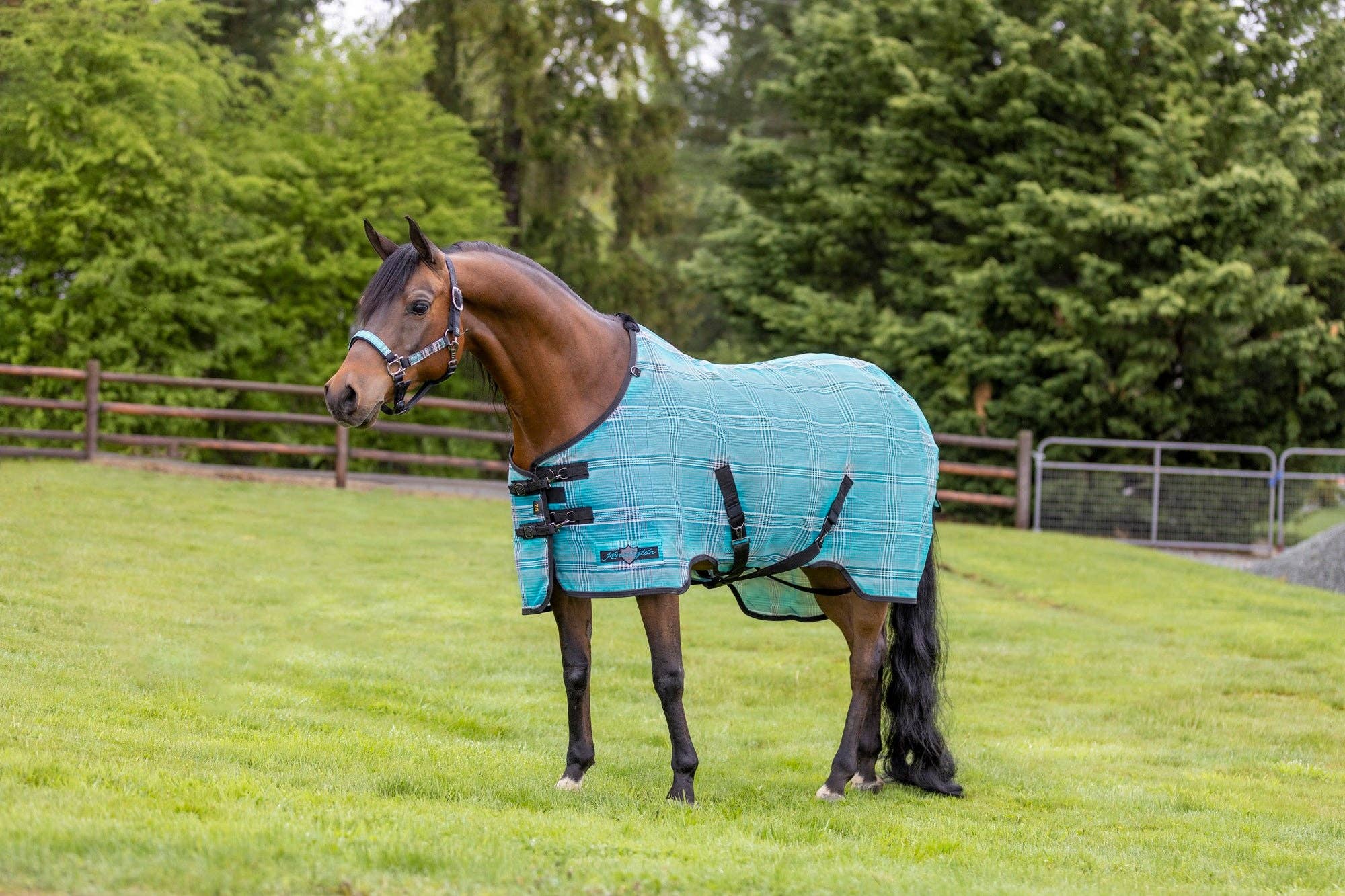 Kensington - Wholesale Horseback Riding Gear - 73% UV Horse Protective Fly Sheet SureFit® Designed for an ideal Fit1