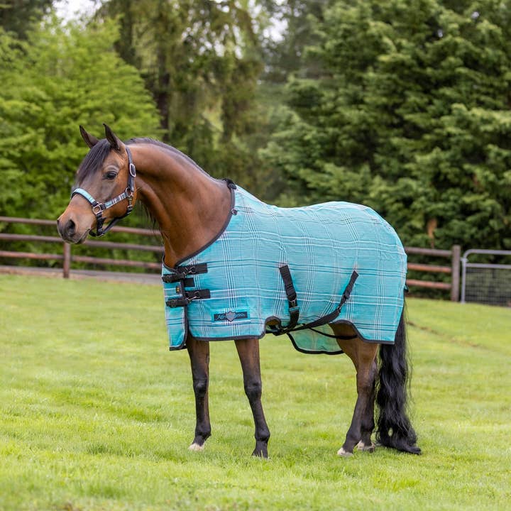 Kensington - Wholesale Horseback Riding Gear - 73% UV Horse Protective Fly Sheet SureFit® Designed for an ideal Fit1