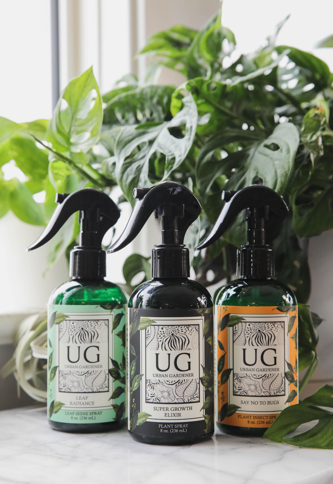 Urban Gardener - Wholesale Plant Mister - Leaf Radiance - Natural Houseplant Cleaner & Shine7